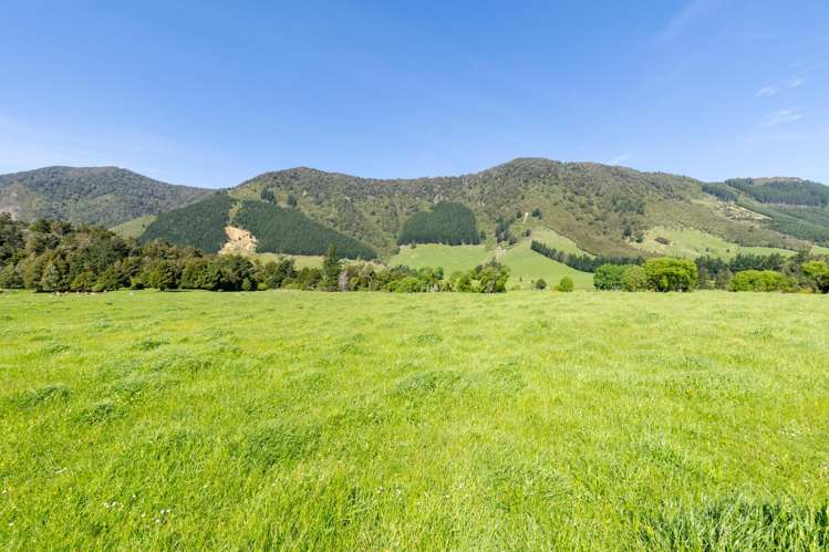 537 Ronga Road Rai Valley_7