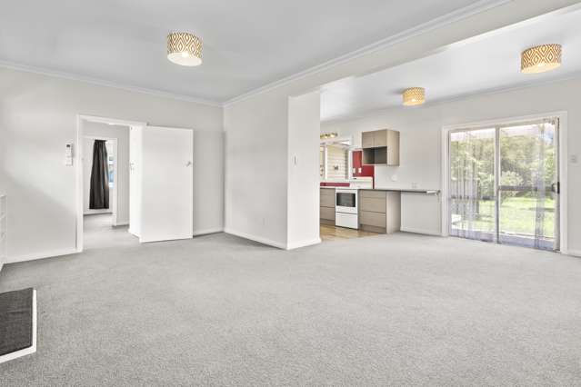 147 Bartholomew Road Levin_1