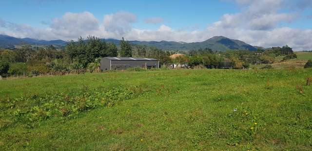 Poland Street Waikino_1