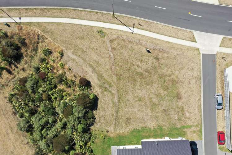 36 Harakeke Drive Wharewaka_8