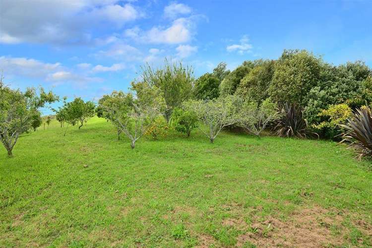 54 Joblin Road Wainui_19