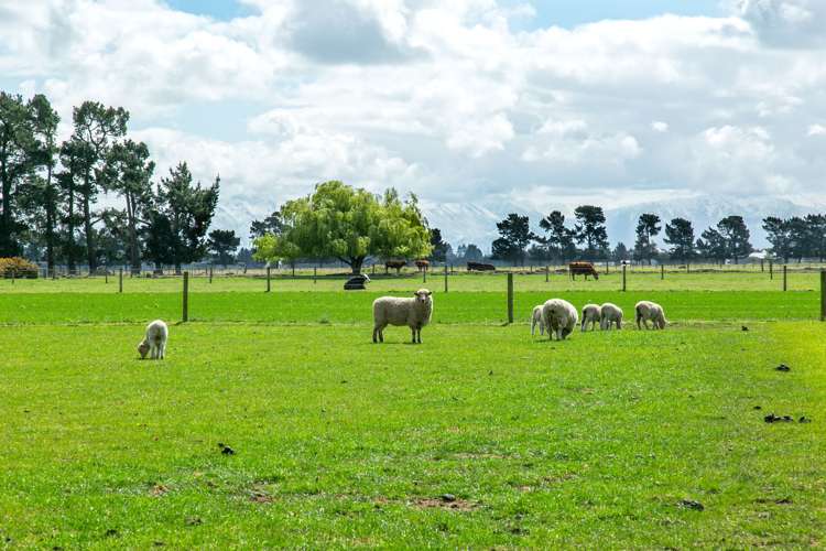 759 Somerton Road Chertsey_15