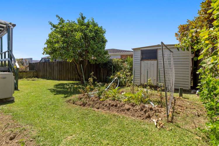 517 Otumoetai Road Otumoetai_8