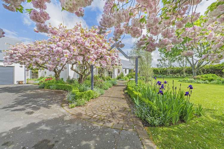 11 Mountain View Place Leeston_25