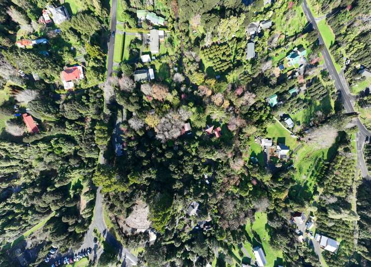 225b Driving Creek Road Coromandel_18