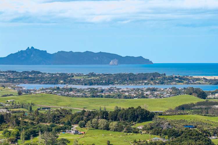 476 Cames Road Mangawhai_35