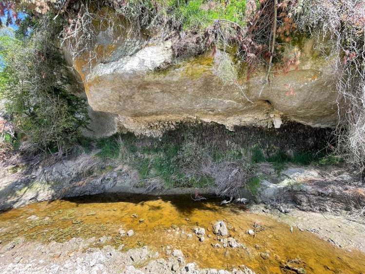 2336 Winchester - Hanging Rock Road Geraldine_12