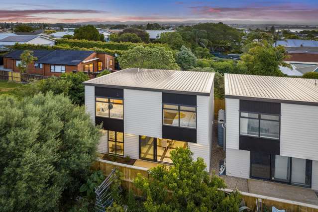 36 Walker Road Point Chevalier_1