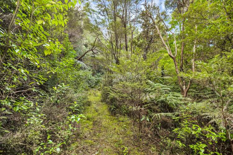 40 Waiparera Road Parua Bay_9