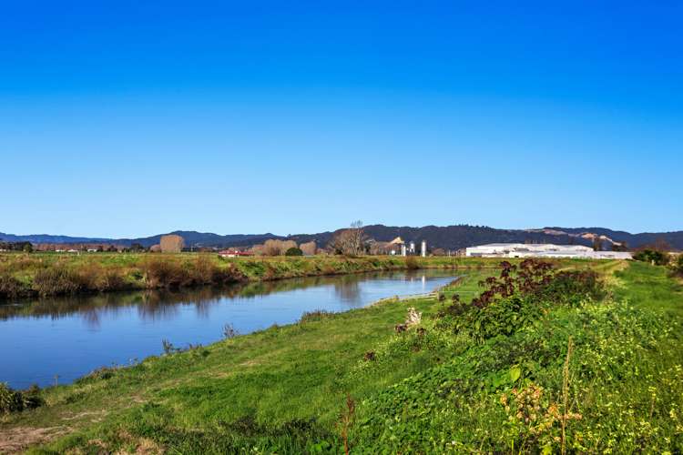 81 College Road Edgecumbe_21