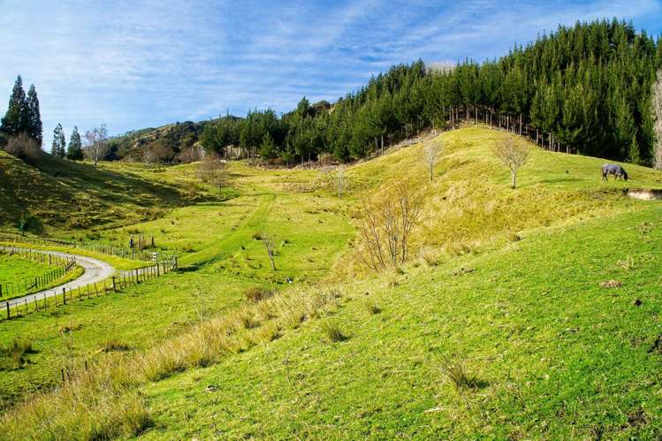 Ormond Valley Road Ormond_21