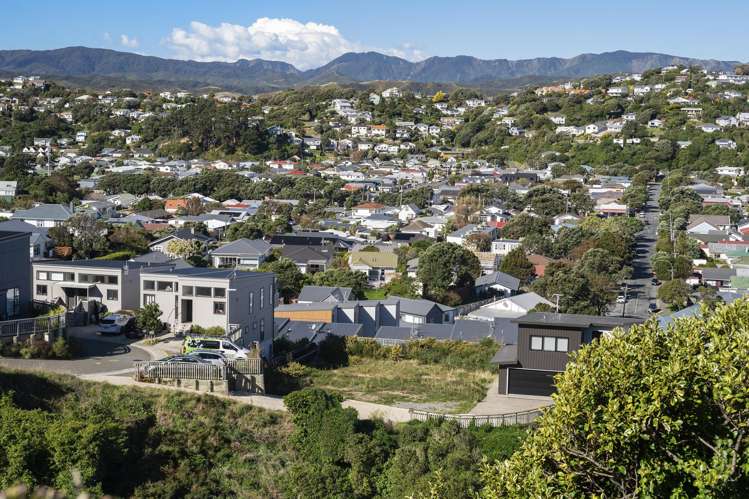 3/104 Maupuia Road_3