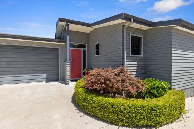 95 Coronation Road Morrinsville_3