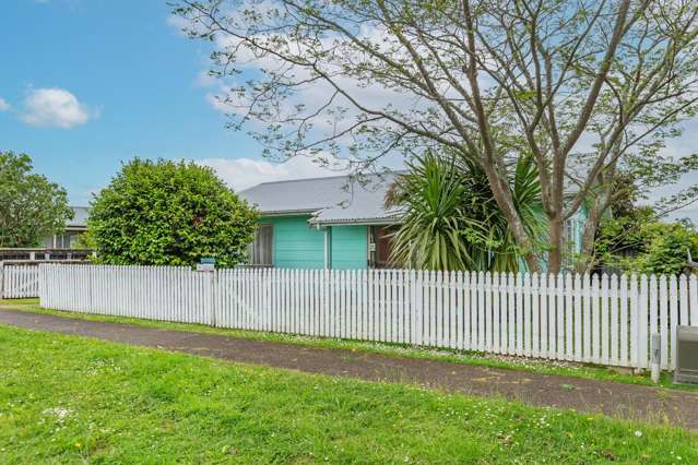 16 Adkin Avenue Levin_1