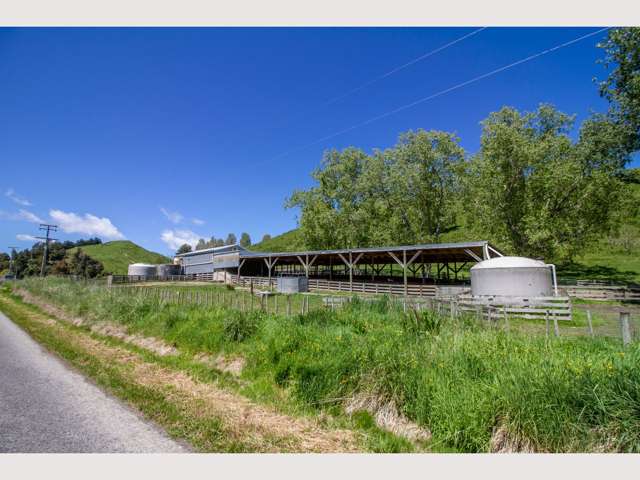 906 Ruahine Road Manawatu_4