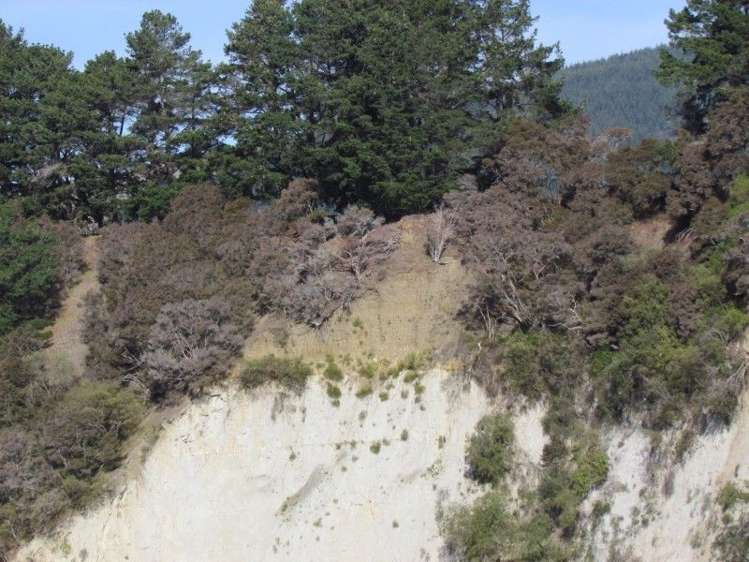 150 Lower Flag Range Road Sherenden_7