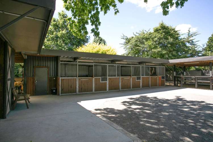 5 Hunter Lane Cambridge_15