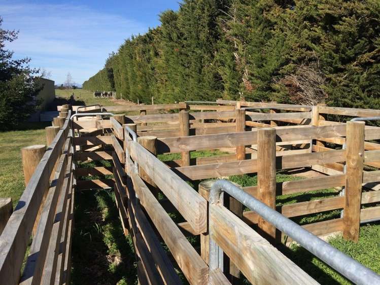 131 Karanga Road Dunsandel_18