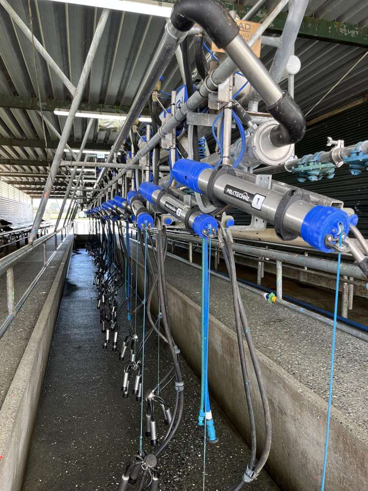 28 Stopbank Road Kowhitirangi_5