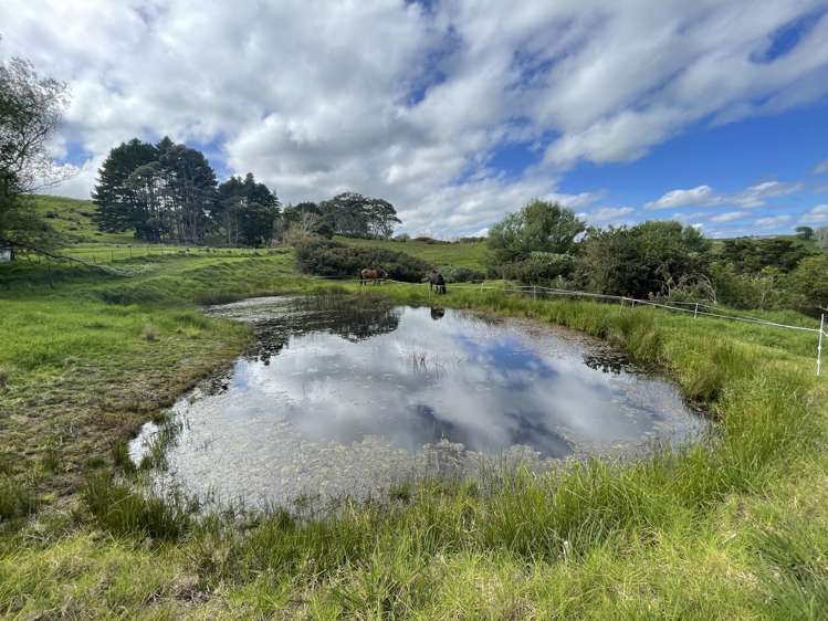 852 Oneriri Road Kaiwaka_50