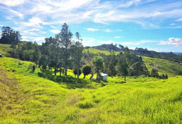 Lot lot 2 Koutu Loop Road Opononi_2