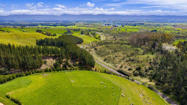 209a Pukeora Scenic Road Waipukurau_7