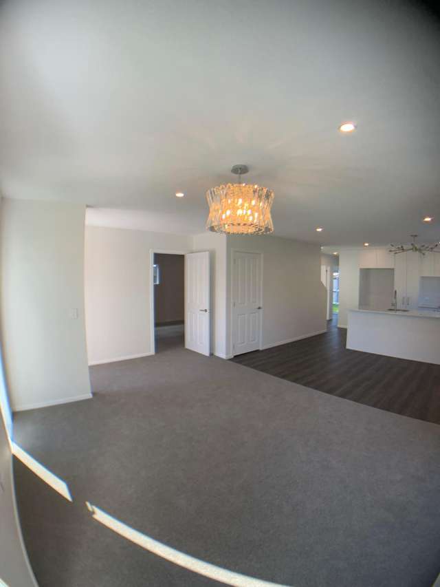  A/19 Marion Street Silverstream_1