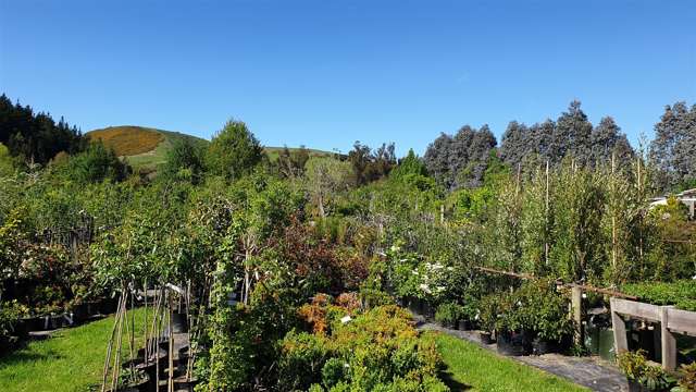 1 Riverside Road Allanton_3