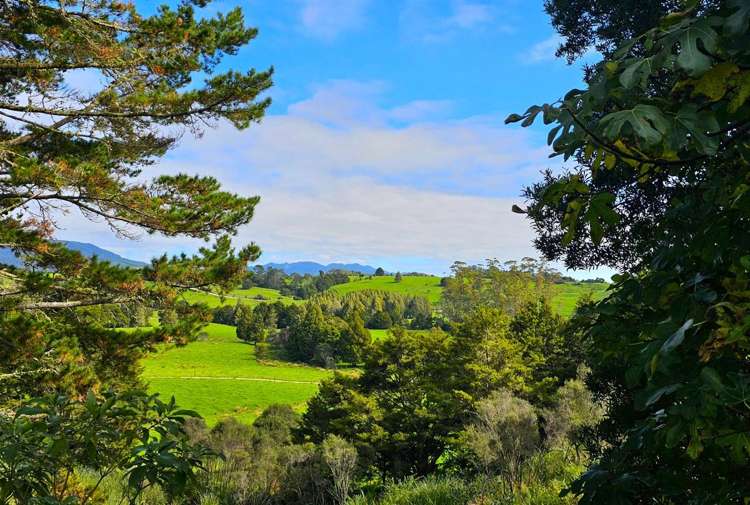 334 Otaua Road_1