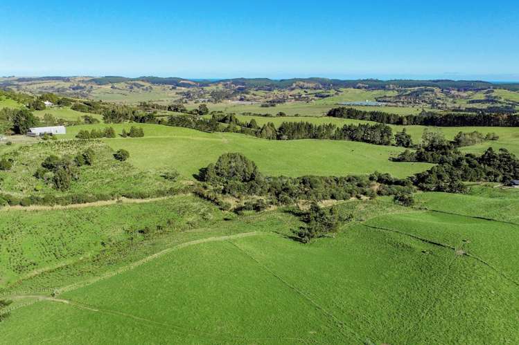 Kiwitahi Road Helensville_9