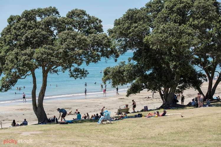 203/10 Auburn Street Takapuna_11