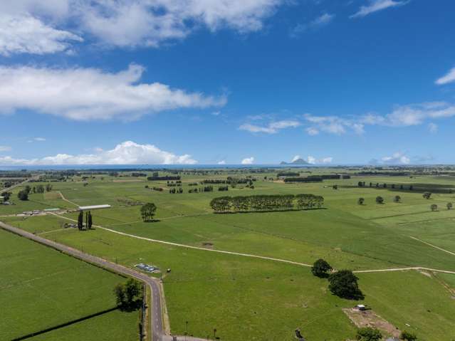 176ha (STT) Dairy on the Rangitaiki Plains