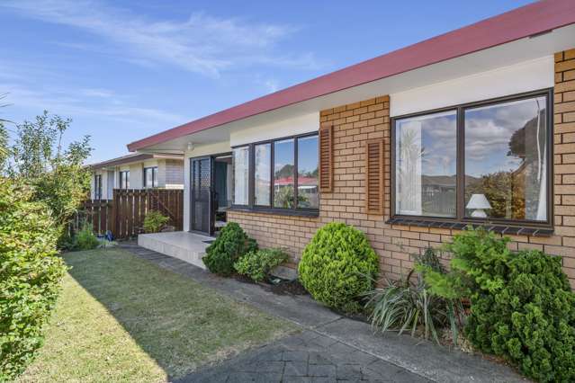 73a Gloucester Road Mount Maunganui_1