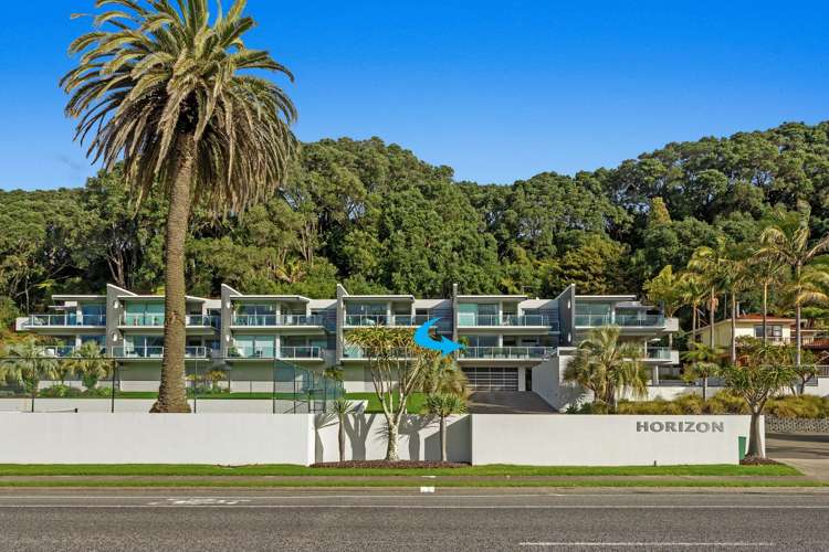 232E Pohutukawa Avenue_0