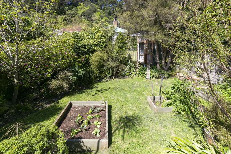 31 Edinburgh Terrace Berhampore_16