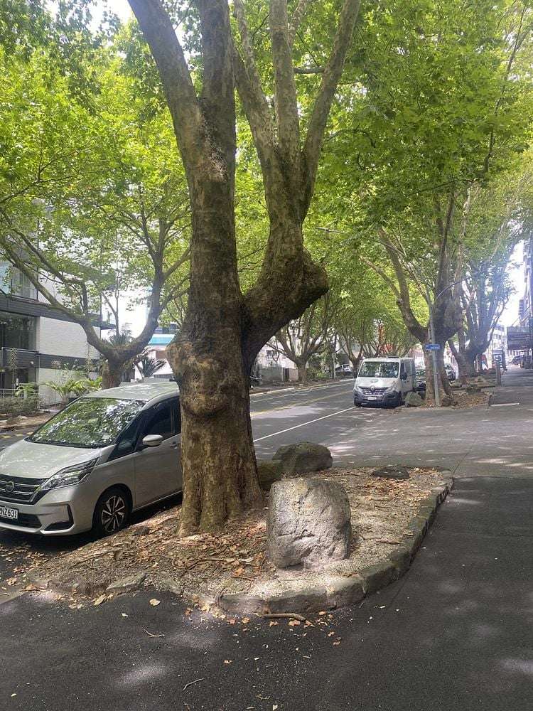 8G/113 Vincent Street Auckland Central_10