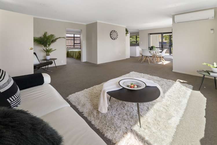 95 Green Street Tahunanui_6