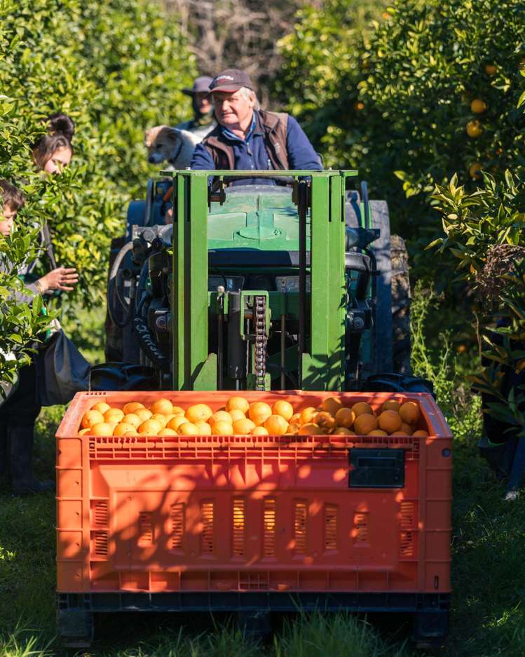 Address withheld Havelock North_3