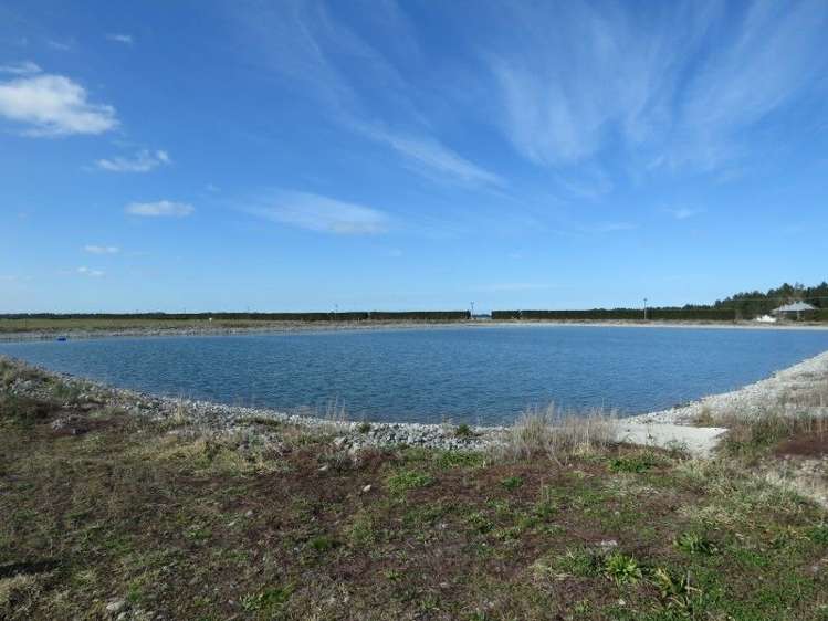 1035 Newland Road Clandeboye_28