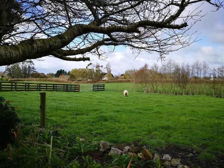 26 High Street Eltham_21