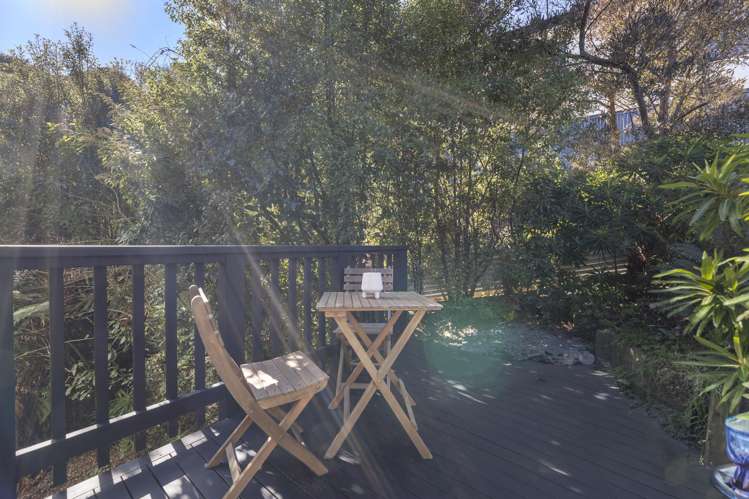 189 Somerville Street Waverley_14