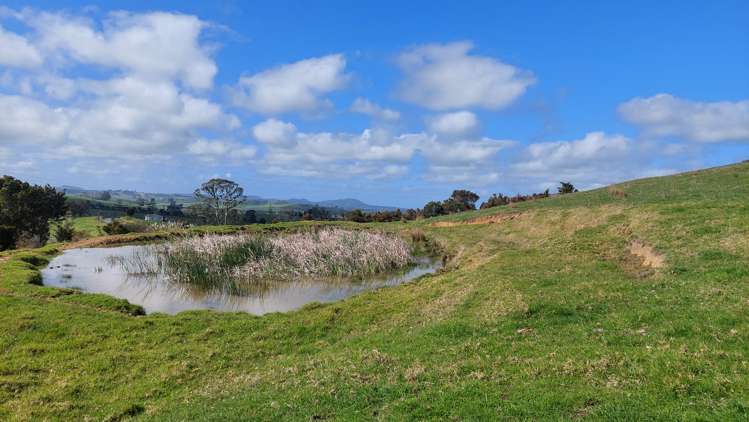 Cnr Milne and Aponga Stream Road Purua_9