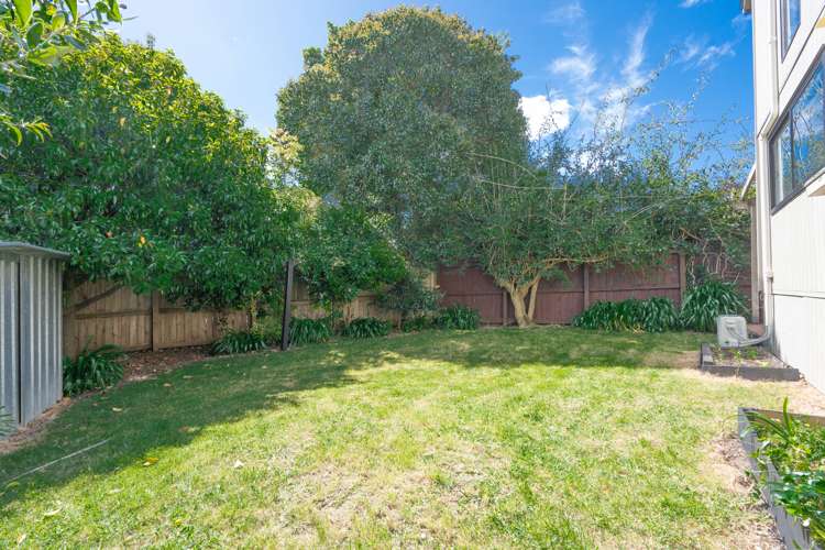 21a Saint Georges Road Avondale_16