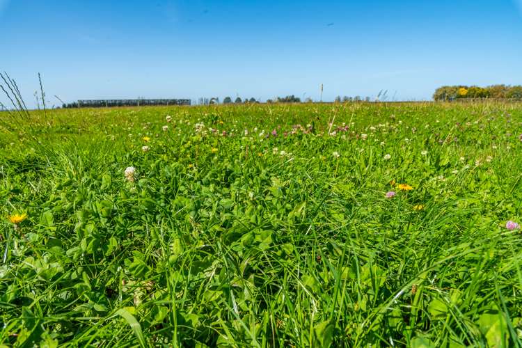 286 Mitcham Road Mitcham_35