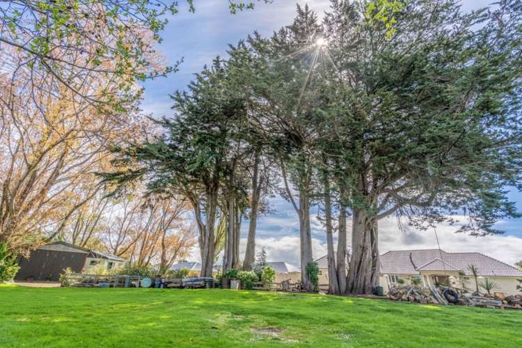 779 Queens Drive Waikiwi_33