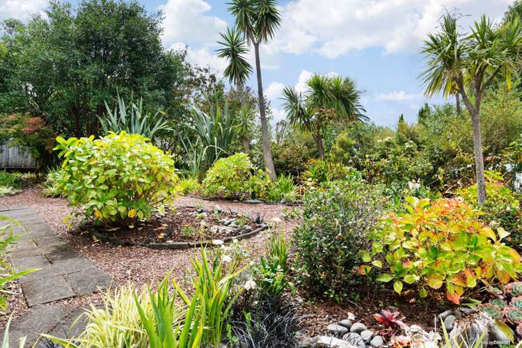 1/33 Cyclarama Crescent Massey_7