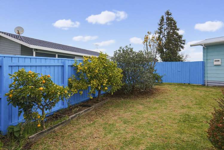 23 Douglas Street Levin_10