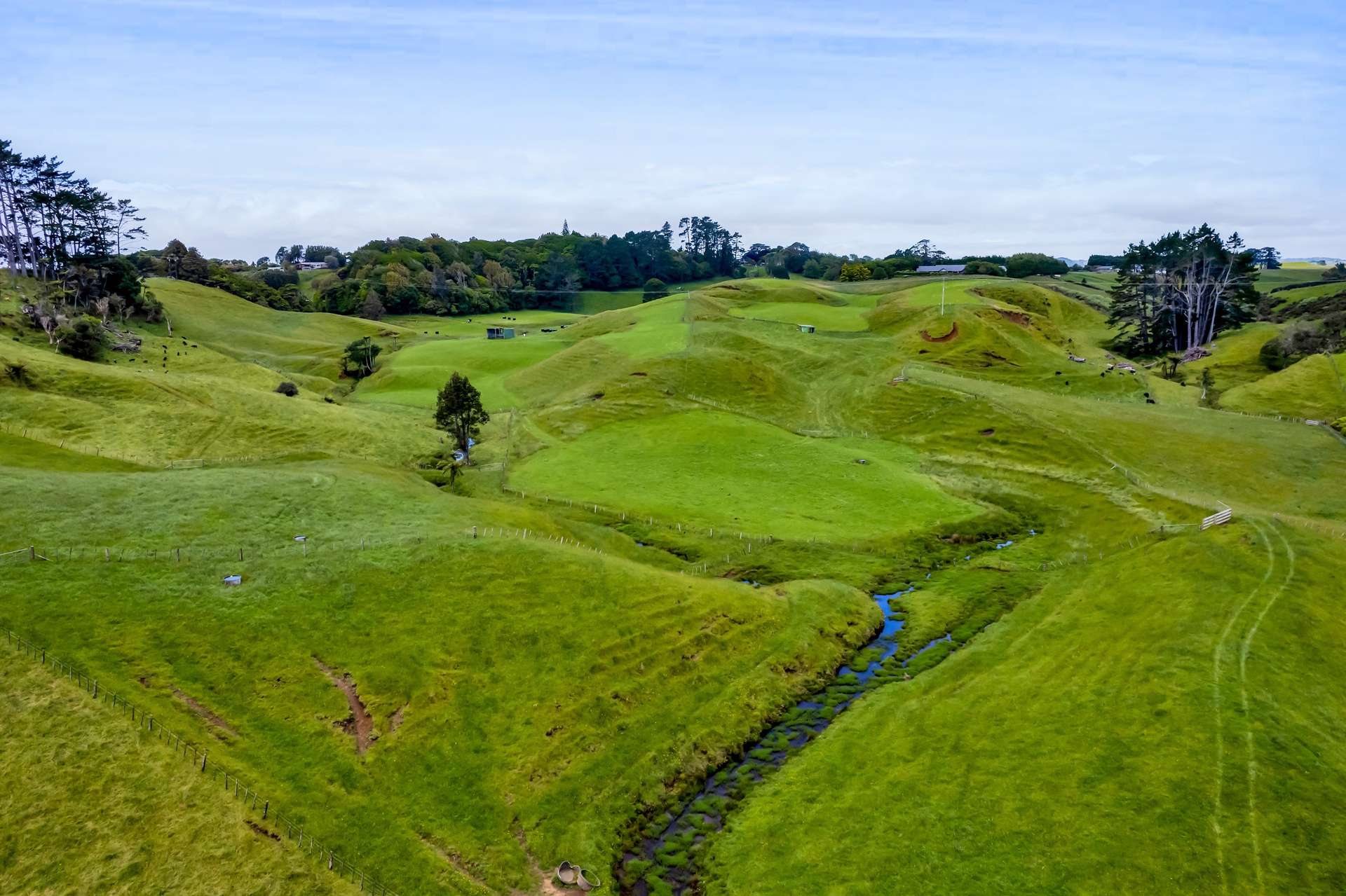 310 Henwood Road Bell Block_0