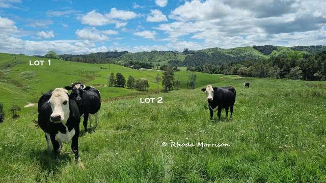 Two Premium 9 & 17 Ha Blocks