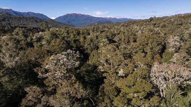 State Highway 65 Springs Junction_3